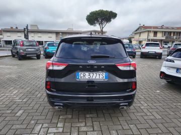 FORD - Kuga 2.0 EcoBlue 120 CV aut. 2WD ST-Line (21 di 22)