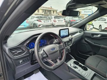 FORD - Kuga 1.5 EcoBlue 120 CV aut. 2WD ST-Line (7 di 22)