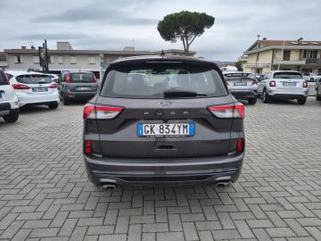FORD - Kuga 1.5 EcoBlue 120 CV aut. 2WD ST-Line (22 di 22)