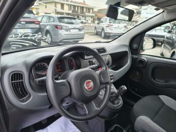 FIAT - Panda 1.0 FireFly S&S Hybrid (8 di 15)