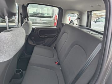 FIAT - Panda 1.0 FireFly S&S Hybrid (11 di 15)