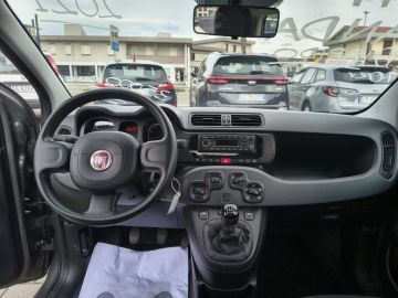 FIAT - Panda 1.0 FireFly S&S Hybrid (13 di 15)