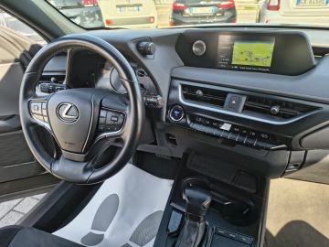 LEXUS - UX Hybrid Business (19 di 20)