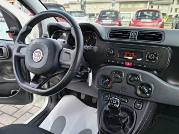 FIAT - Panda 1.2 Easy (18 di 19)