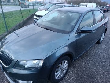 SKODA - Octavia 1.6 TDI CR 105 CV Executive (3 di 3)