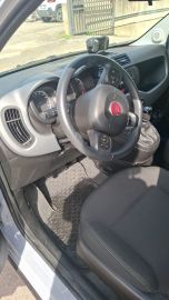 FIAT - Panda Cross 1.0 FireFly S&S Hybrid (5 di 7)