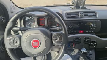 FIAT - Panda Cross 1.0 FireFly S&S Hybrid (6 di 7)