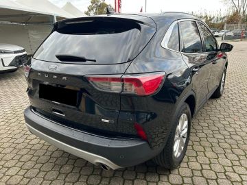 FORD - Kuga 2.0 EcoBlue Hybrid 150 CV 2WD Titanium (3 di 18)