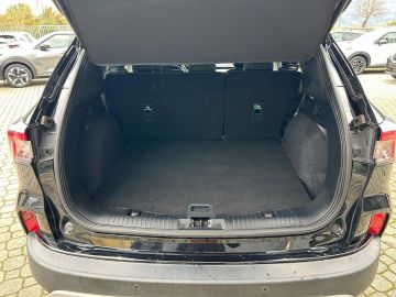 FORD - Kuga 2.0 EcoBlue Hybrid 150 CV 2WD Titanium (17 di 18)