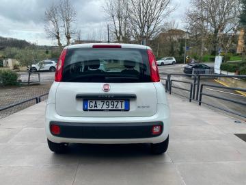 FIAT - Panda 1.0 FireFly S&S Hybrid Easy (6 di 15)